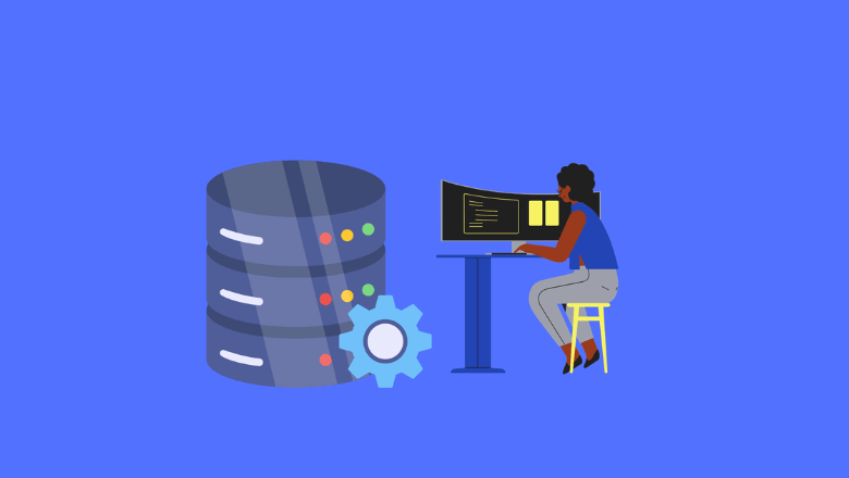 How to manage an SQL Developer
