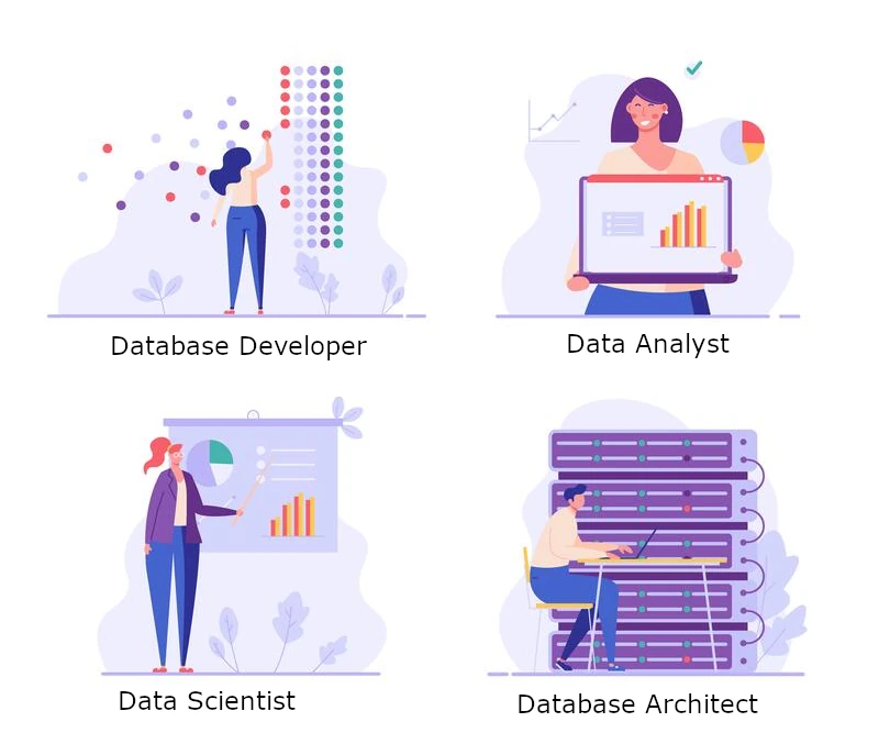 Database Developer, Data Analyst, Data Scientist, Data Architect